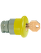 Altech 2AMLKB8 Mushroom with Key Release - Non-Illuminated Metal Operator