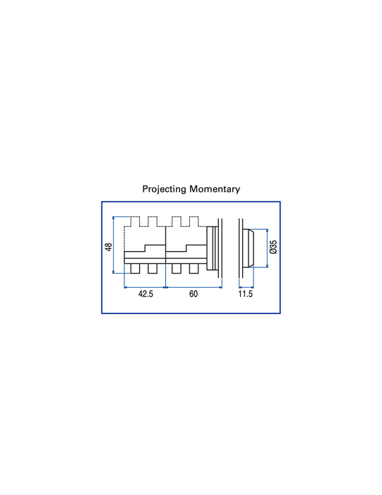 Altech AP2 Flush Non-Illuminated Momentary