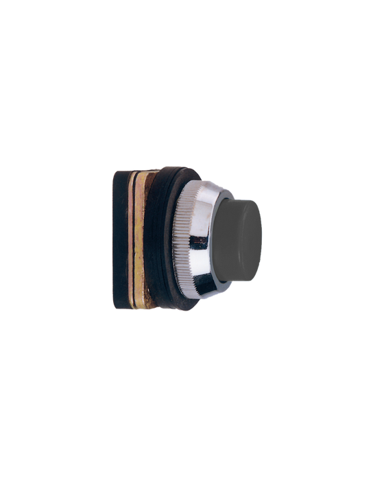 Altech AP2 Flush Non-Illuminated Momentary