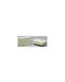 Altech 56.OA67.0600N Safety Relay : OA 5667 , OA 5667S : 6A : 6V : 2 CO